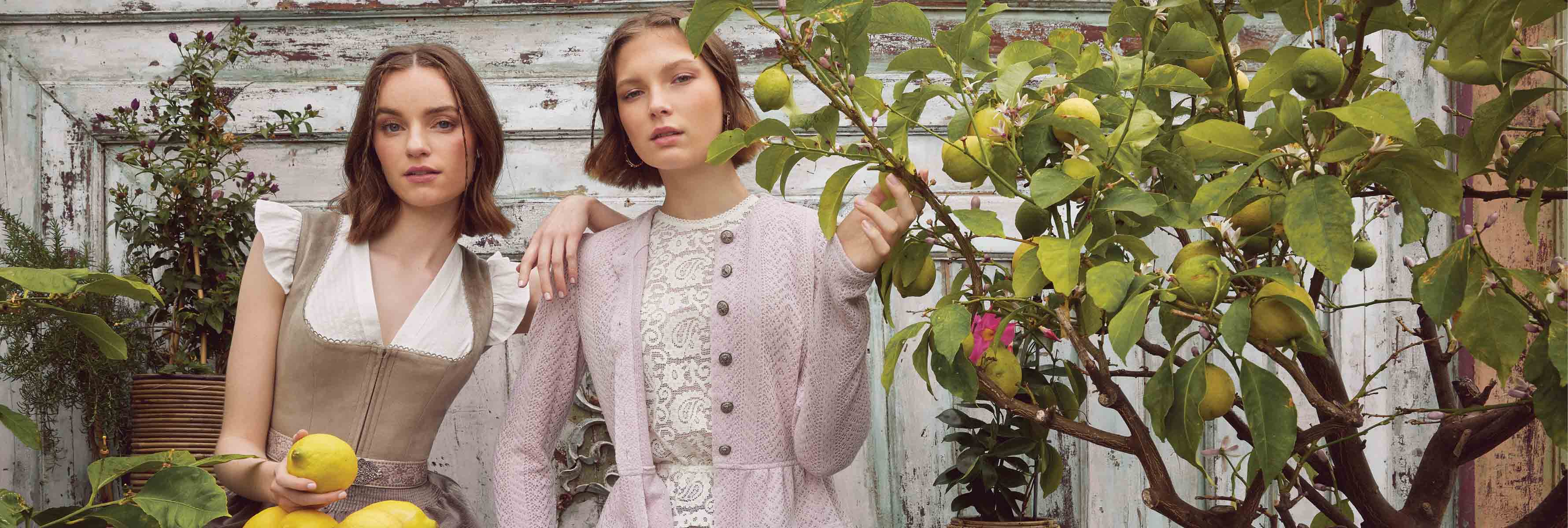 Trachten cardigans dames